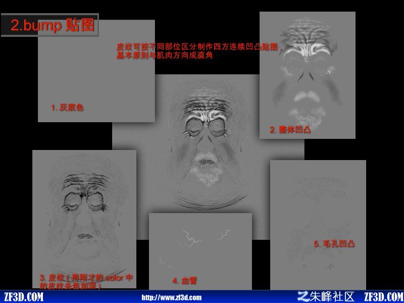 c鿴^(q)DƬ