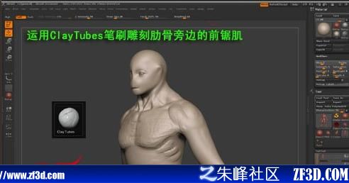 c鿴^(q)DƬ
