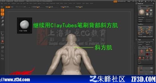 c鿴^(q)DƬ