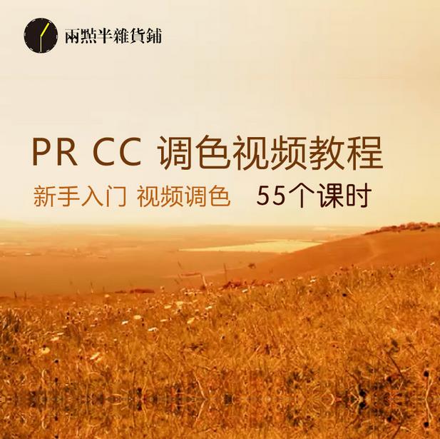 PR CC{(dio)ɫҕl̳ҕlУɫӰҕl{(dio)ɫԴļPremiere