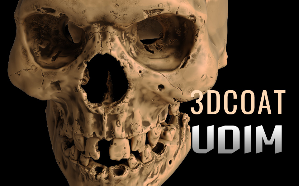 3dcoat??????????