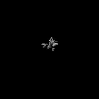 һB ָ