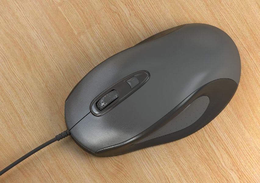  Mouse