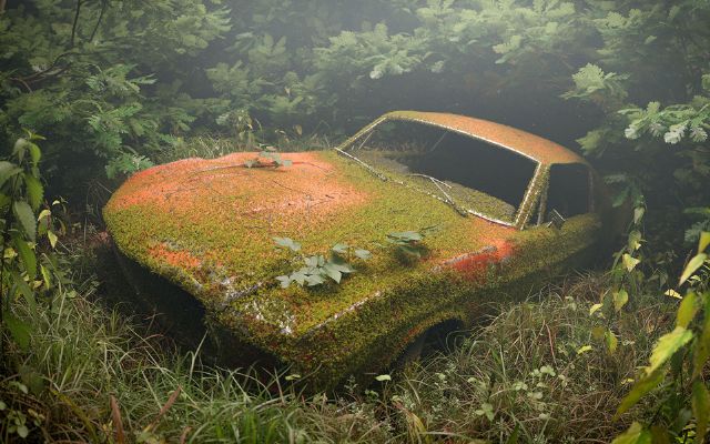BlenderGraswald Pro 1.3.11ֲ̦\İ