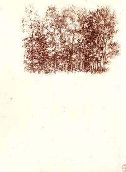 _(d)ȻDƬ14P_11873