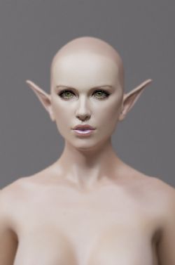 w3Dģͅ 100P_12044