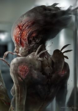_R၆ˇg(sh)Adrian GrajdeanuƷp  52P_12963