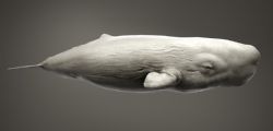 Y(ji)(gu)DƬp  88P_12955