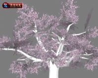 һģ