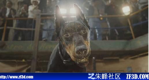 點(diǎn)擊查看朱峰社區(qū)圖片