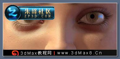 c(din)鿴^(q)DƬ